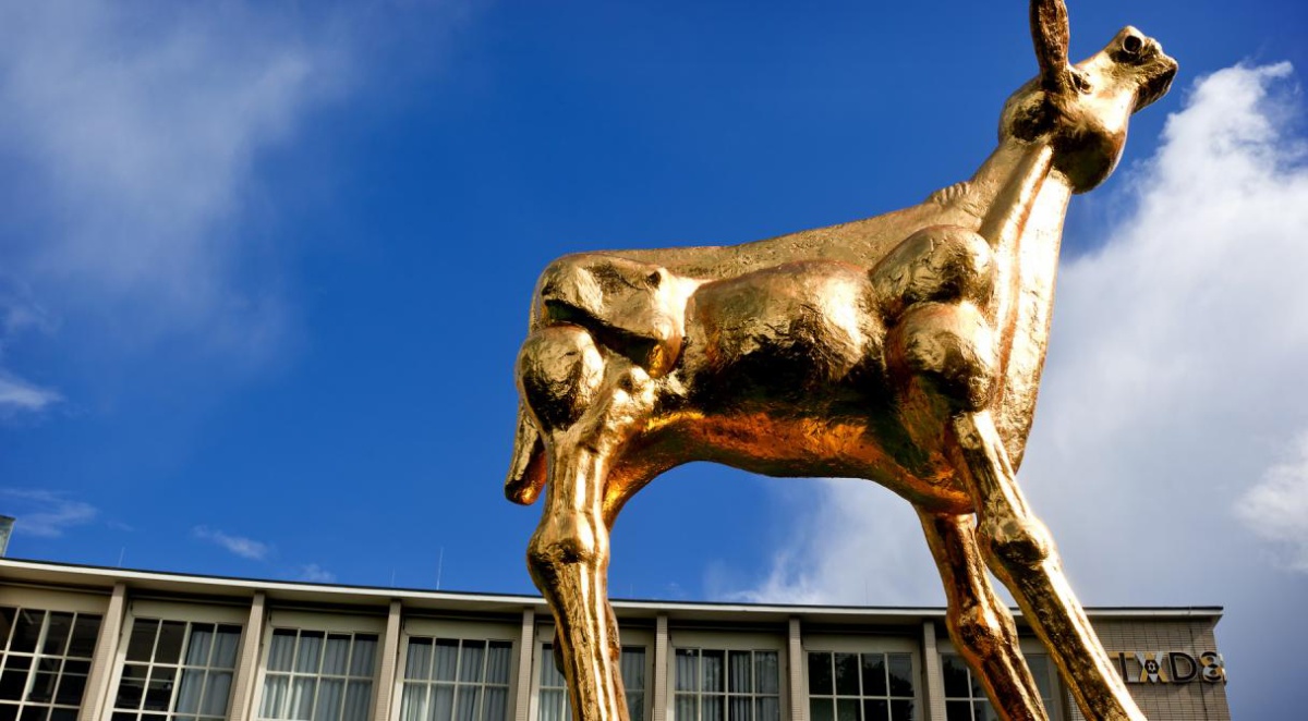 JUNGLE genomineerd voor 2 Gouden Kalveren